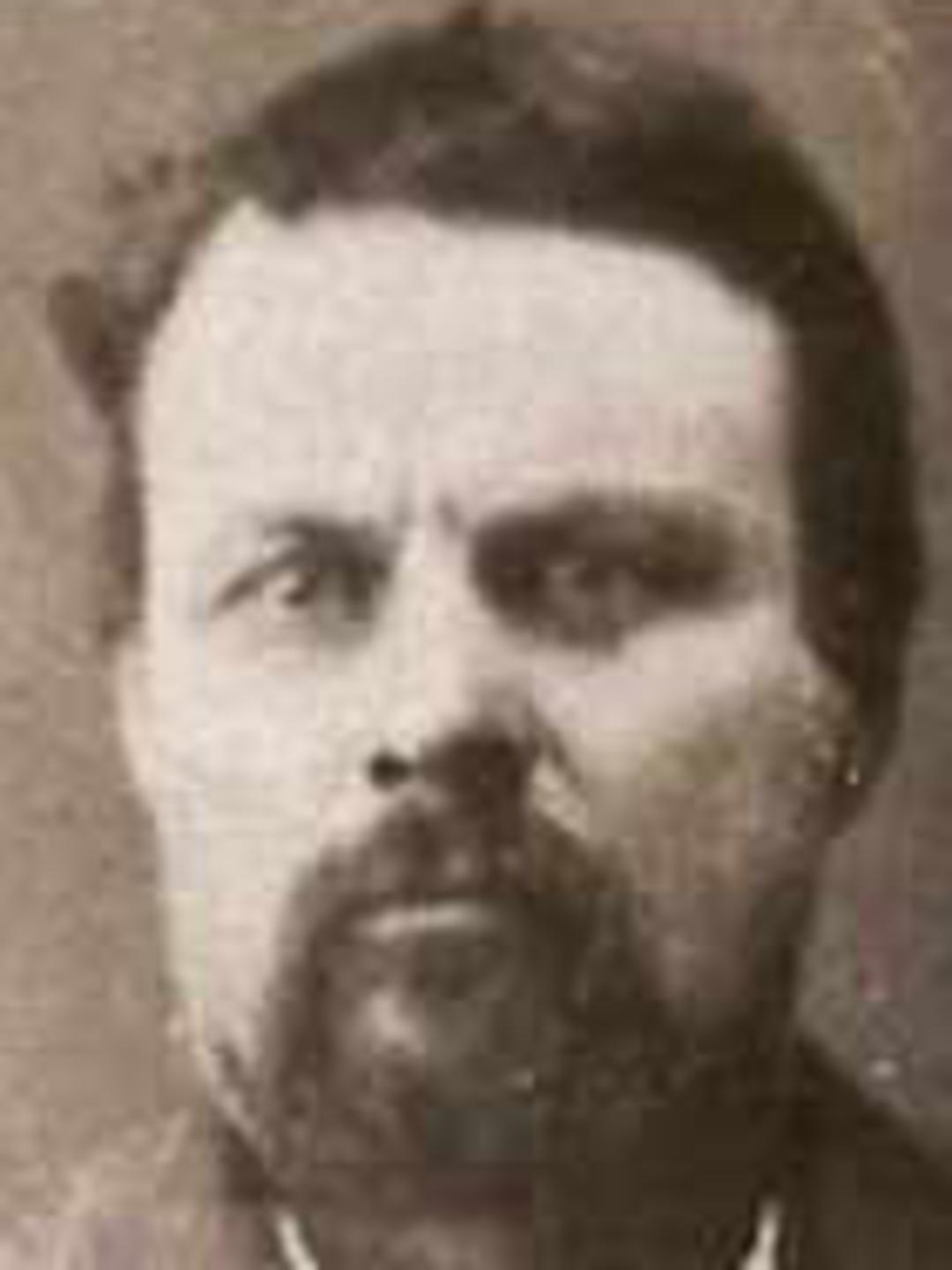 Albern Babcock (1840 - 1917) Profile